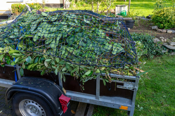 Recycling Services for Junk in Woodbury, MN